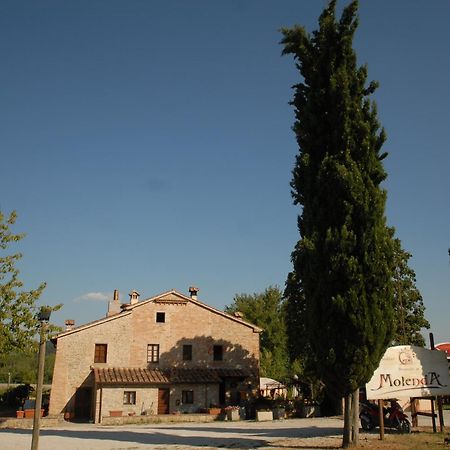 Molenda B&B Città di Castello Extérieur photo