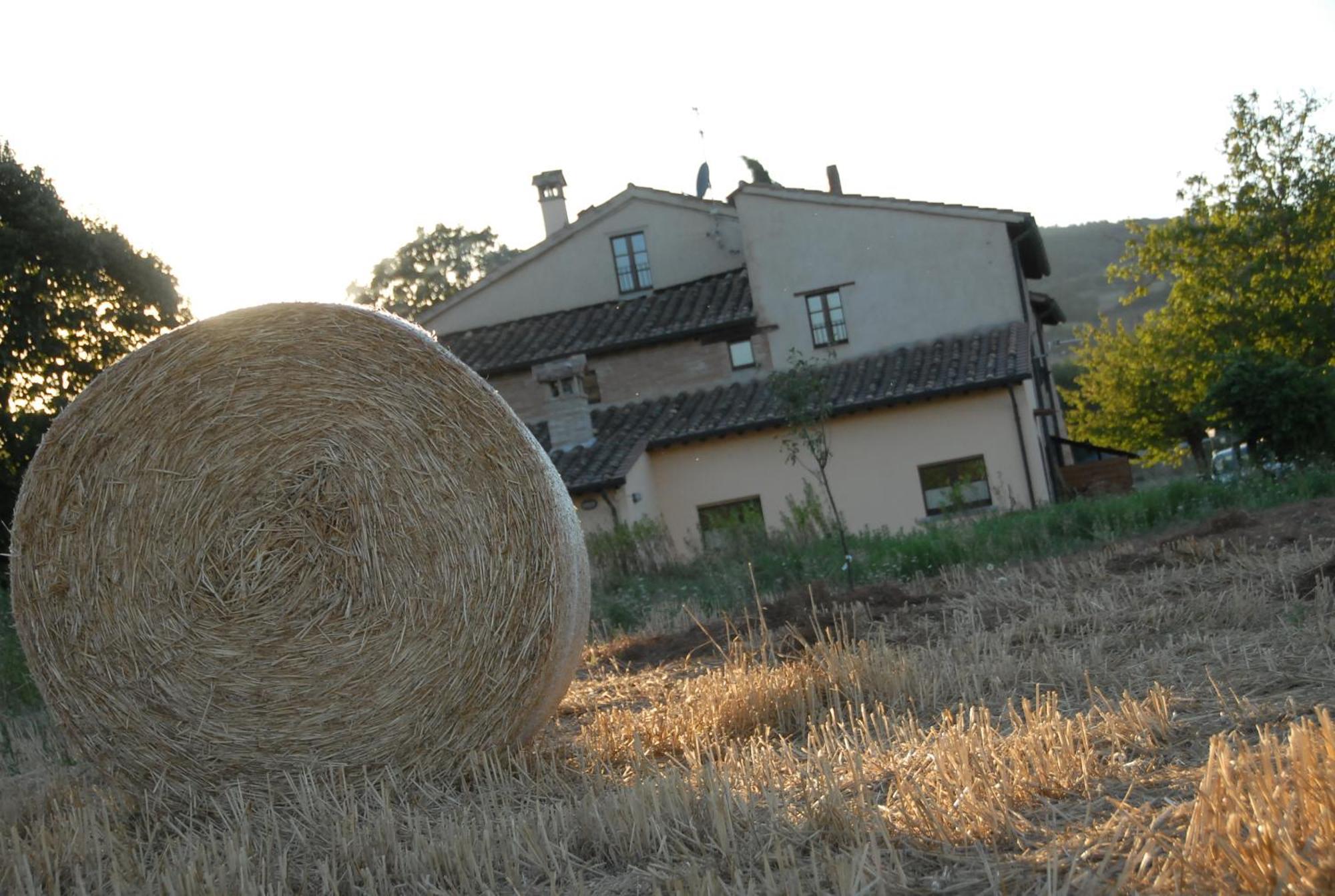 Molenda B&B Città di Castello Extérieur photo